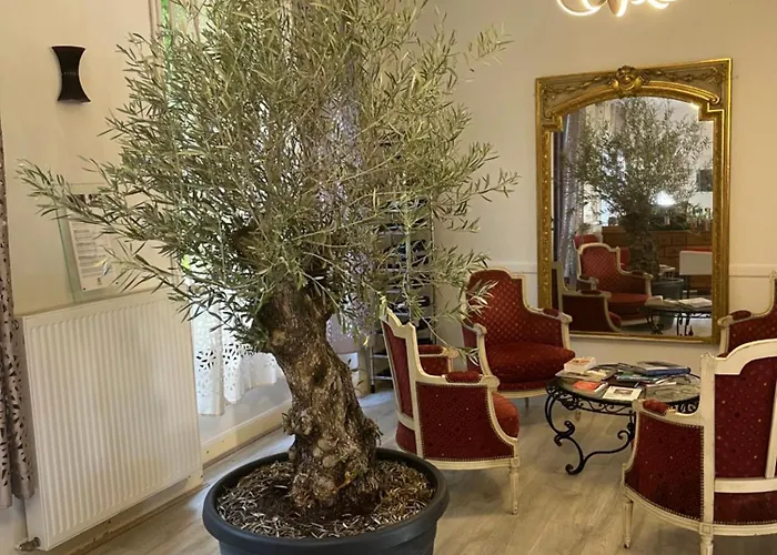 莫尔恩中心酒店 酒店